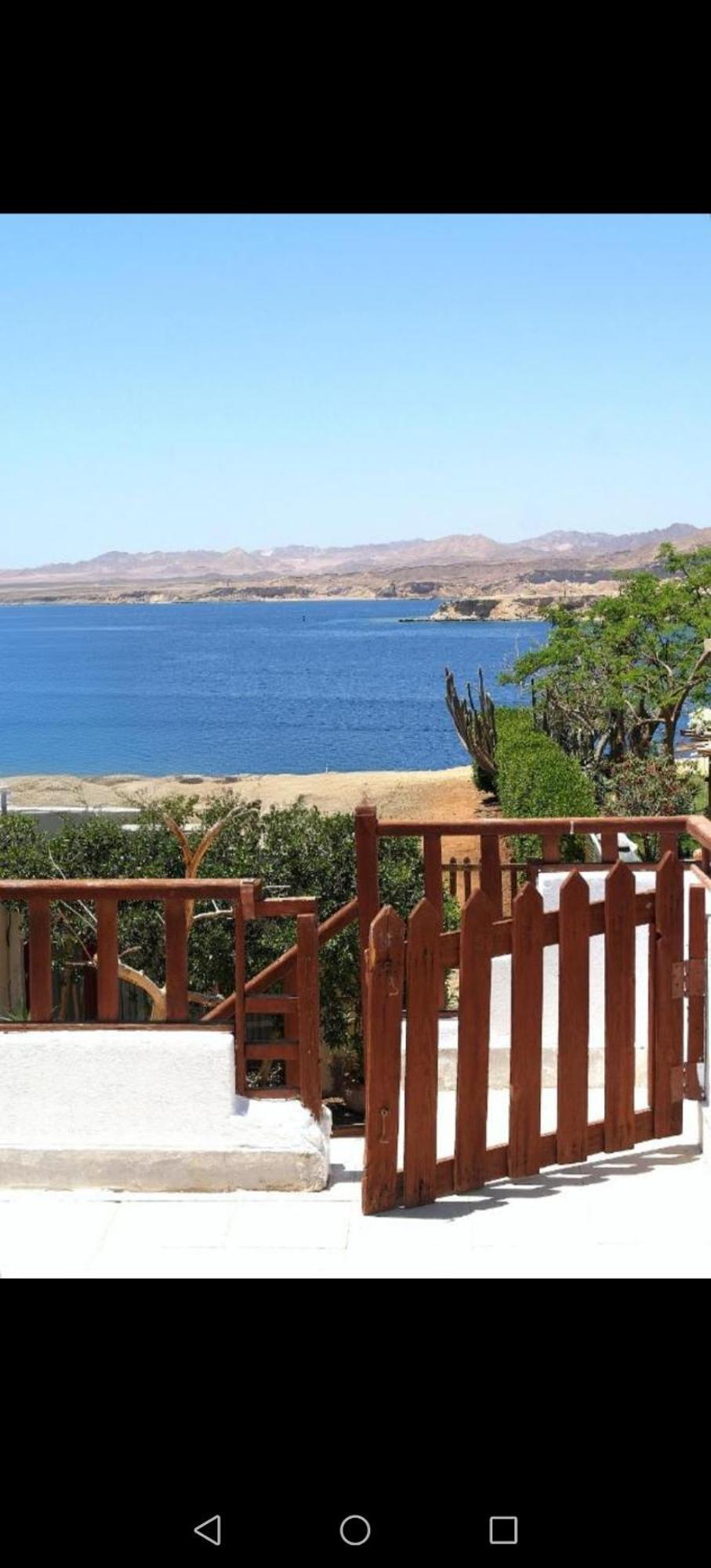 Abouseif Guest House Шарм ел-Шейх Стая снимка